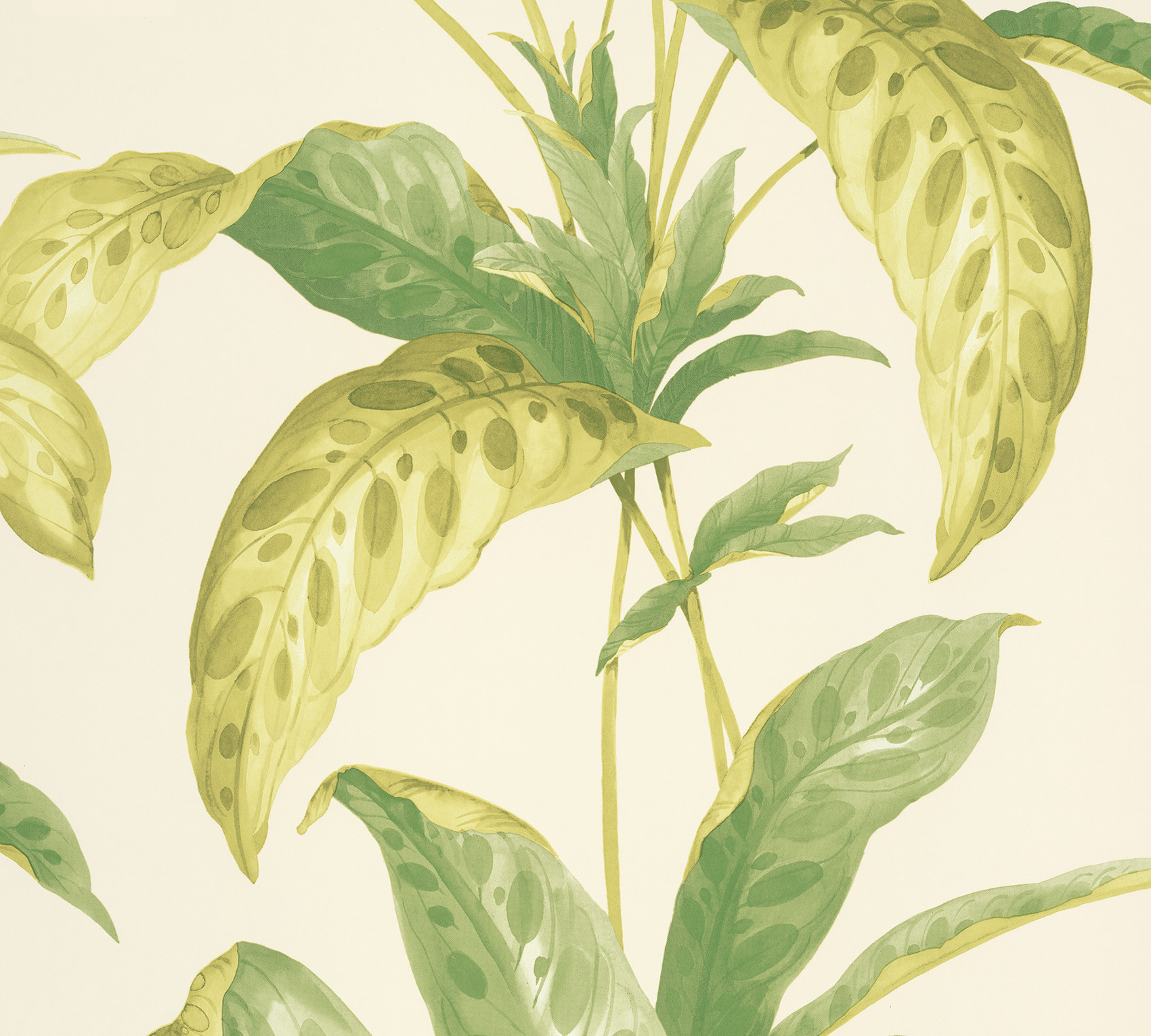 Обои Paint & Paper Library Botany Tropicane Chelsea Green II 0360TRCHELS